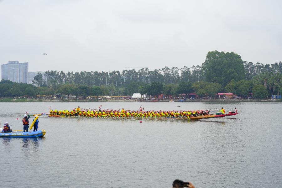 IMG_256 IMG_256